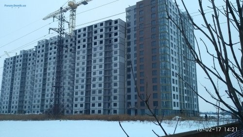 IMG_20170218_142146.jpg