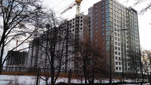 IMG_20170224_073448.jpg