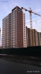 IMG_20170224_073710.jpg