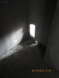 IMG_5286.JPG