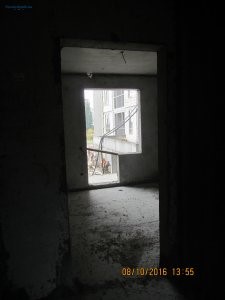 IMG_5308.JPG