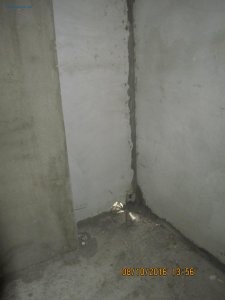 IMG_5313.JPG