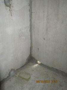 IMG_5315.JPG