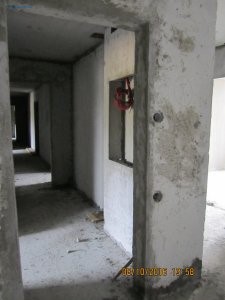 IMG_5320.JPG