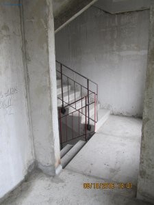 IMG_5331.JPG