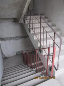 IMG_5333.JPG