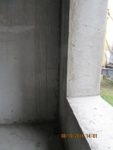 IMG_5334.JPG