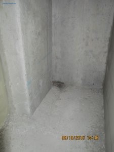 IMG_5344.JPG
