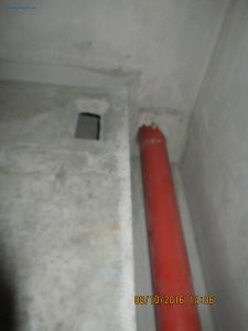IMG_5346.JPG