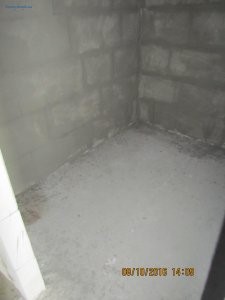 IMG_5362.JPG