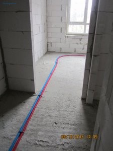 IMG_5365.JPG