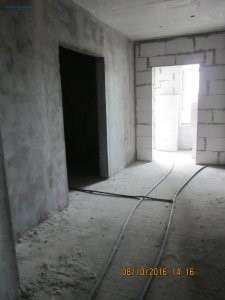 IMG_5396.JPG