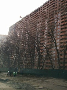 IMG_20170304_143049.jpg