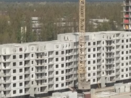 IMG_20170425_104442.jpg