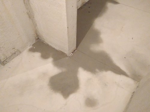 IMG_20180214_183227.jpg