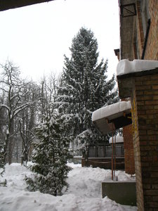 IMG_8739.JPG