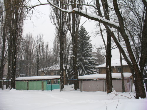 IMG_8745.JPG