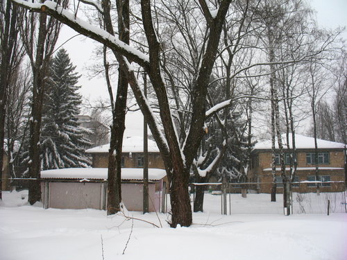 IMG_8746.JPG